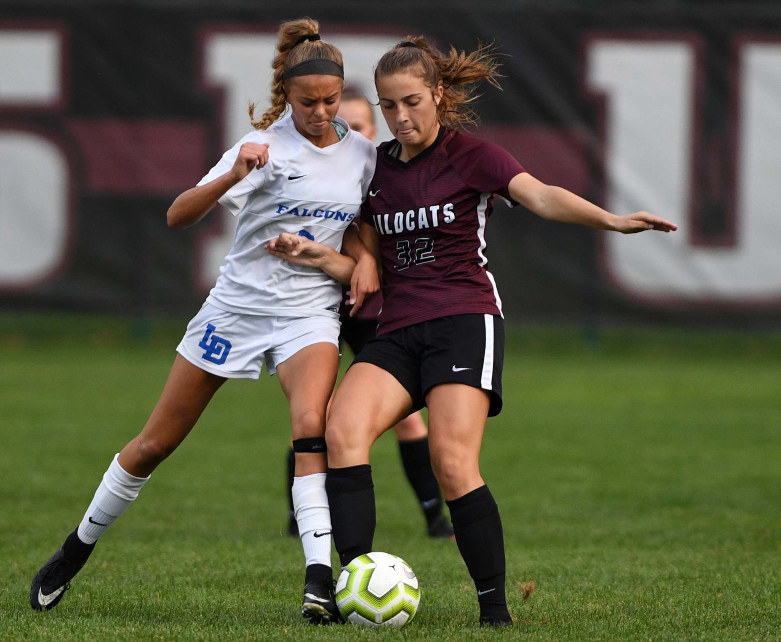 Mechanicsburg Lower Dauphin 6